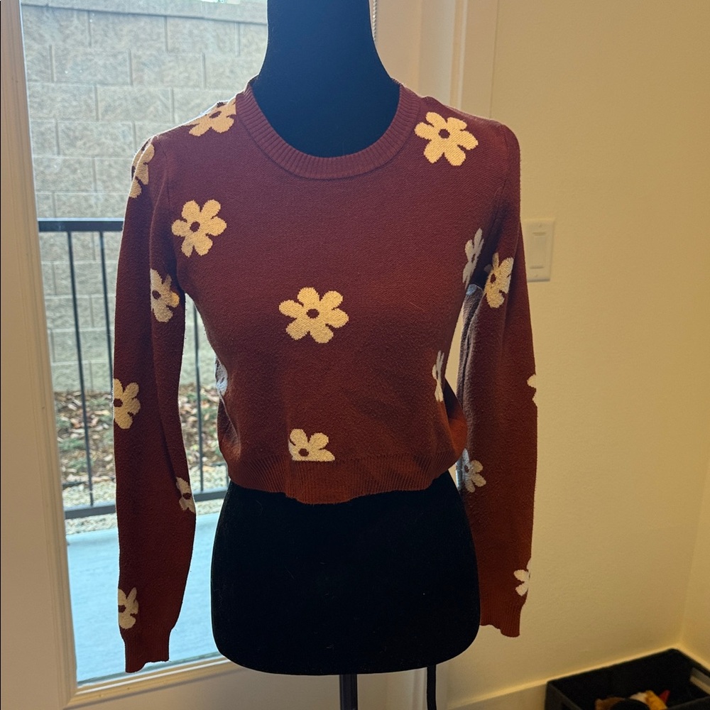 Papermoon Cropped Rust Sweater